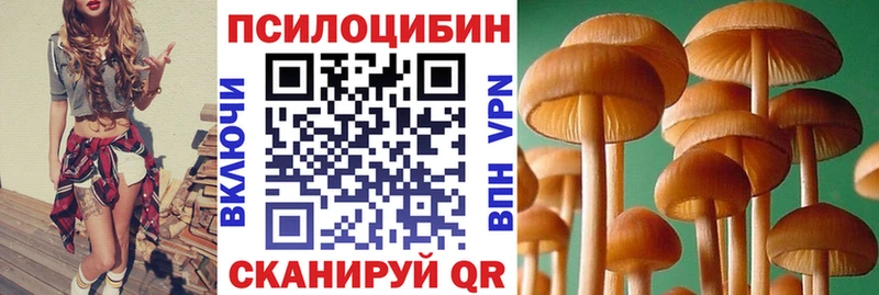 mega как зайти  Новоалександровск  Галлюциногенные грибы GOLDEN TEACHER 